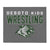 De Soto Kids Wrestling Throw Blanket 50 x 60