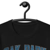 Oak Park Northmen Wrestling Unisex t-shirt