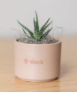 Test Blog #4