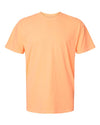 Comfort Colors Garment-Dyed Heavyweight T-Shirt 1717