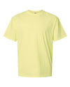 Comfort Colors Garment-Dyed Heavyweight T-Shirt 1717