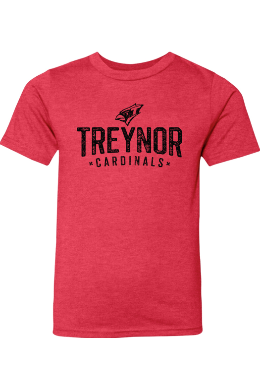 Treynor Wrestling Next Level Youth CVC T-Shirt
