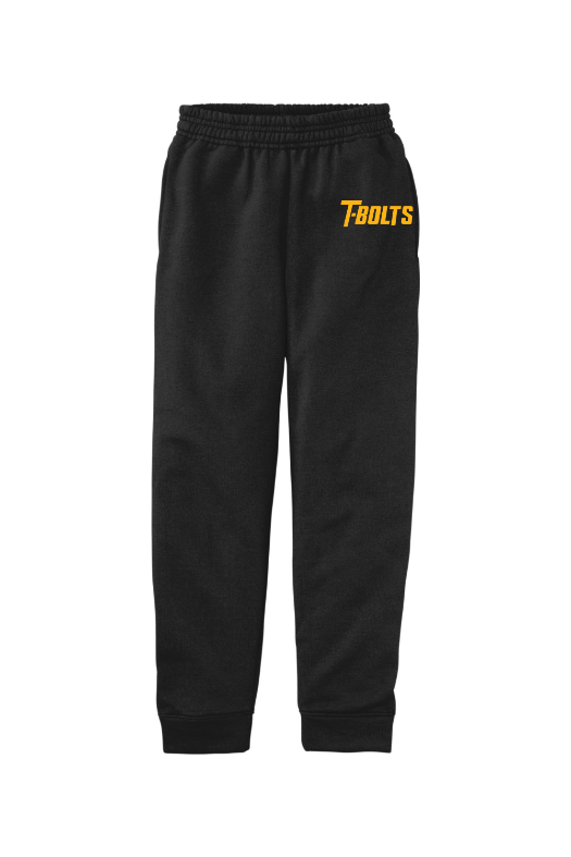 Andrew High School Port & Company Youth Core Fleece Jogger. PC78YJ