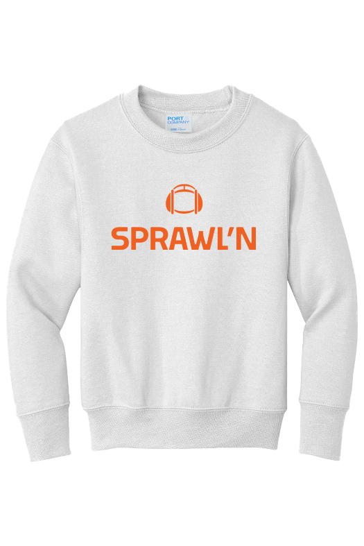 University of Arkansas Little Rock Port & Company - Youth Core Fleece Crewneck Sweatshirt. PC90Y