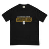 Glenbard North High School Mens Garment-Dyed Heavyweight T-Shirt