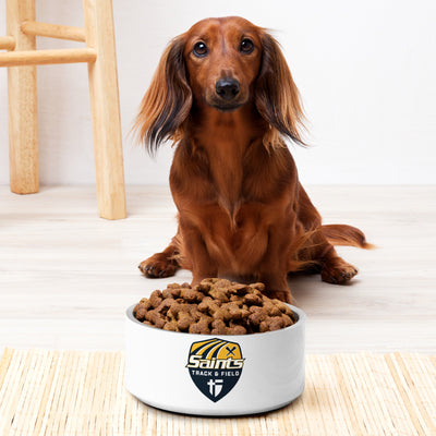 Saint Thomas Aquinas Wrestling All Over Print Pet bowl