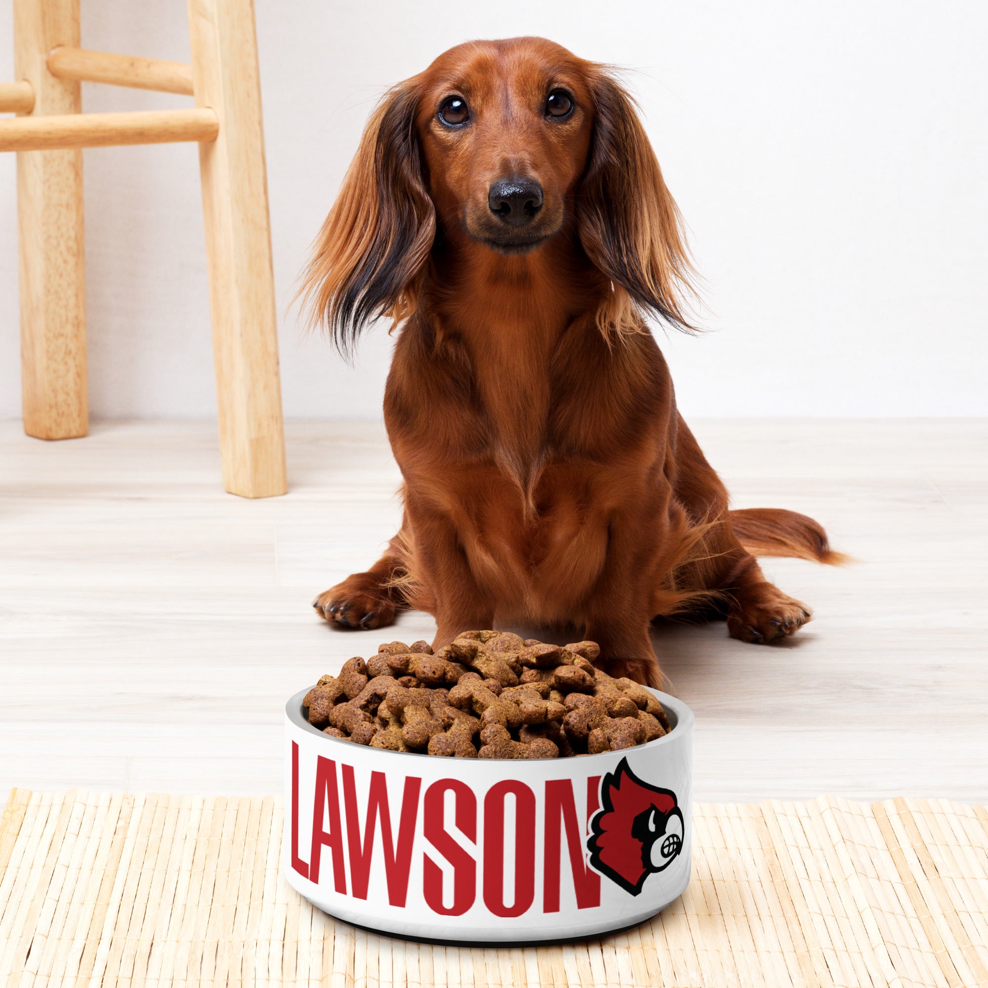 Dachshund food outlet bowl