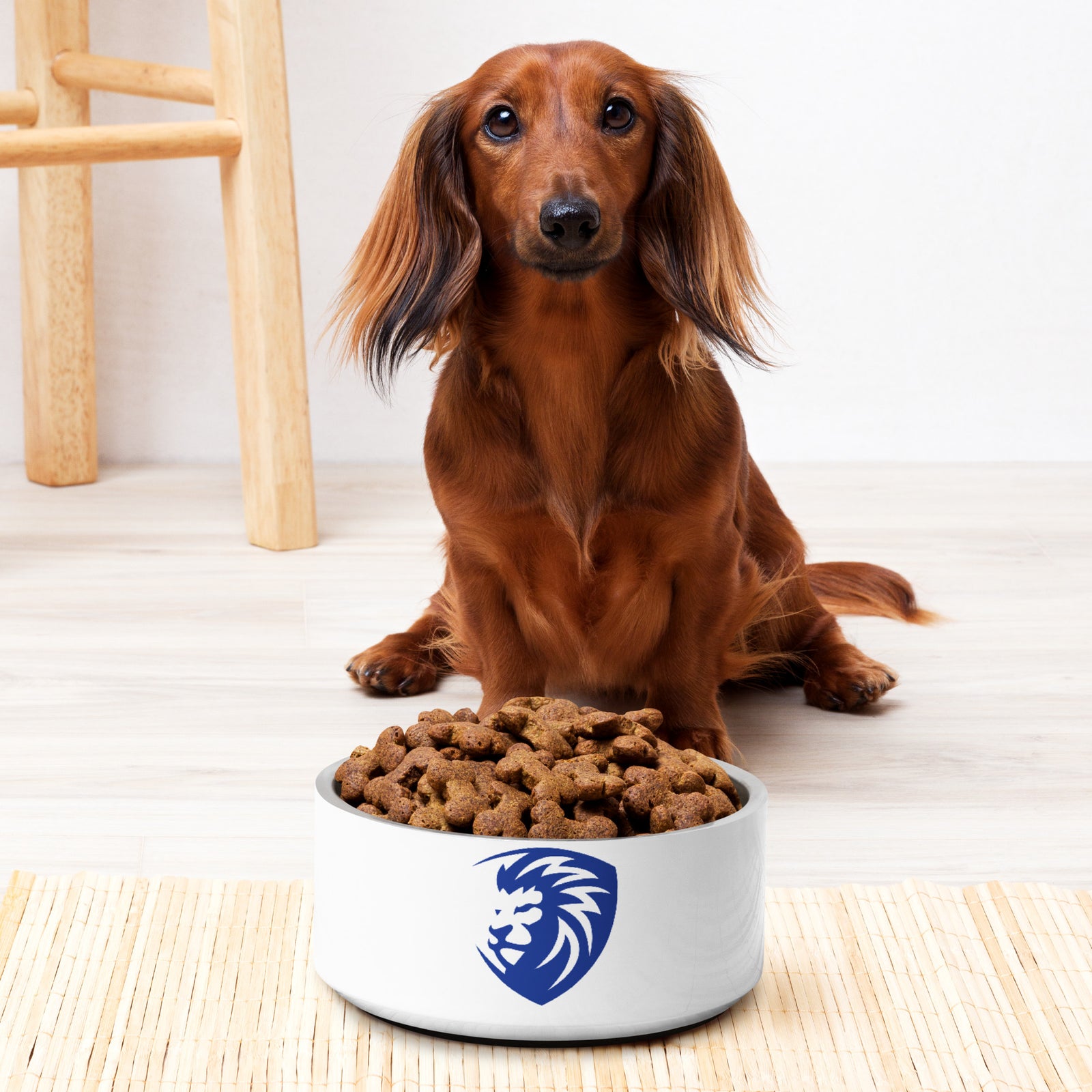 MWC Wrestling Academy 2022 All Over Print Pet bowl