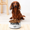 Palmetto Middle FootballAll Over Print Pet bowl