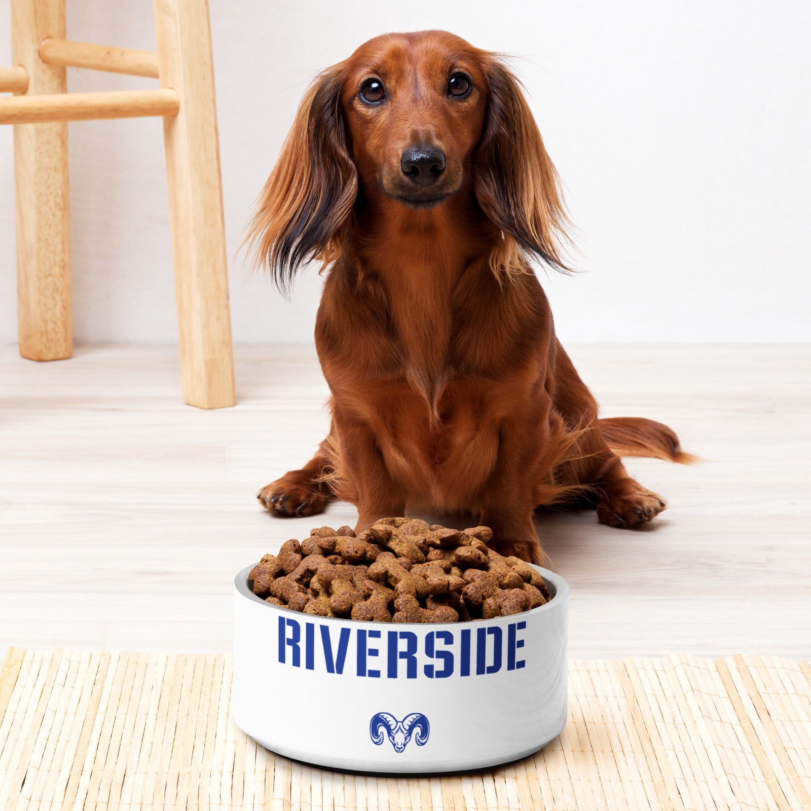 Riverside Wrestling All Over Print Pet bowl