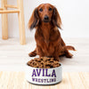 Avila Wrestling All Over Print Pet bowl