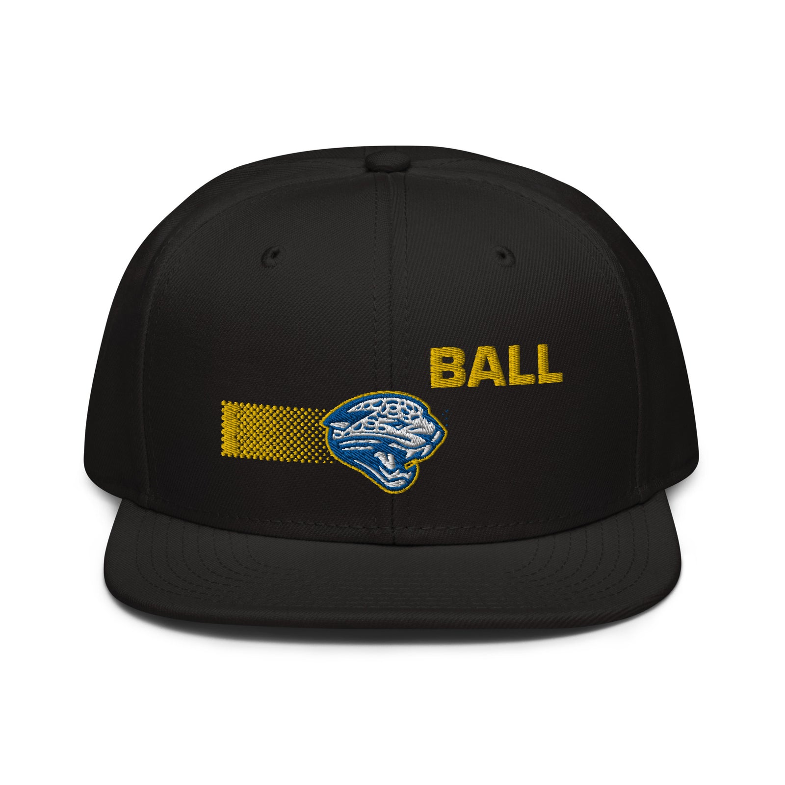 Seckman Volleyball Snapback Hat