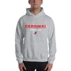 William Jewell Wrestling Unisex Heavy Blend Hoodie