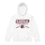 2024 Jr Lions Football Youth heavy blend hoodie