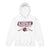 2025 Jr Lions Football Youth heavy blend hoodie