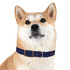 PLYAA 2022 Dog Collar