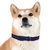 PLYAA 2022 Dog Collar