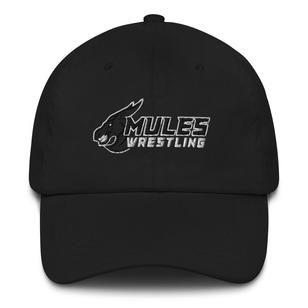 Lone Jack Classic Dad Hat