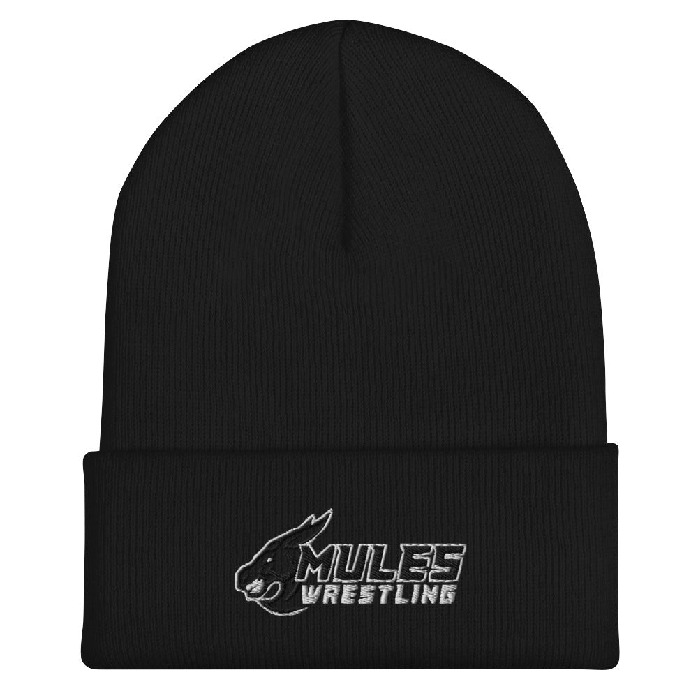 Lone Jack Cuffed Beanie