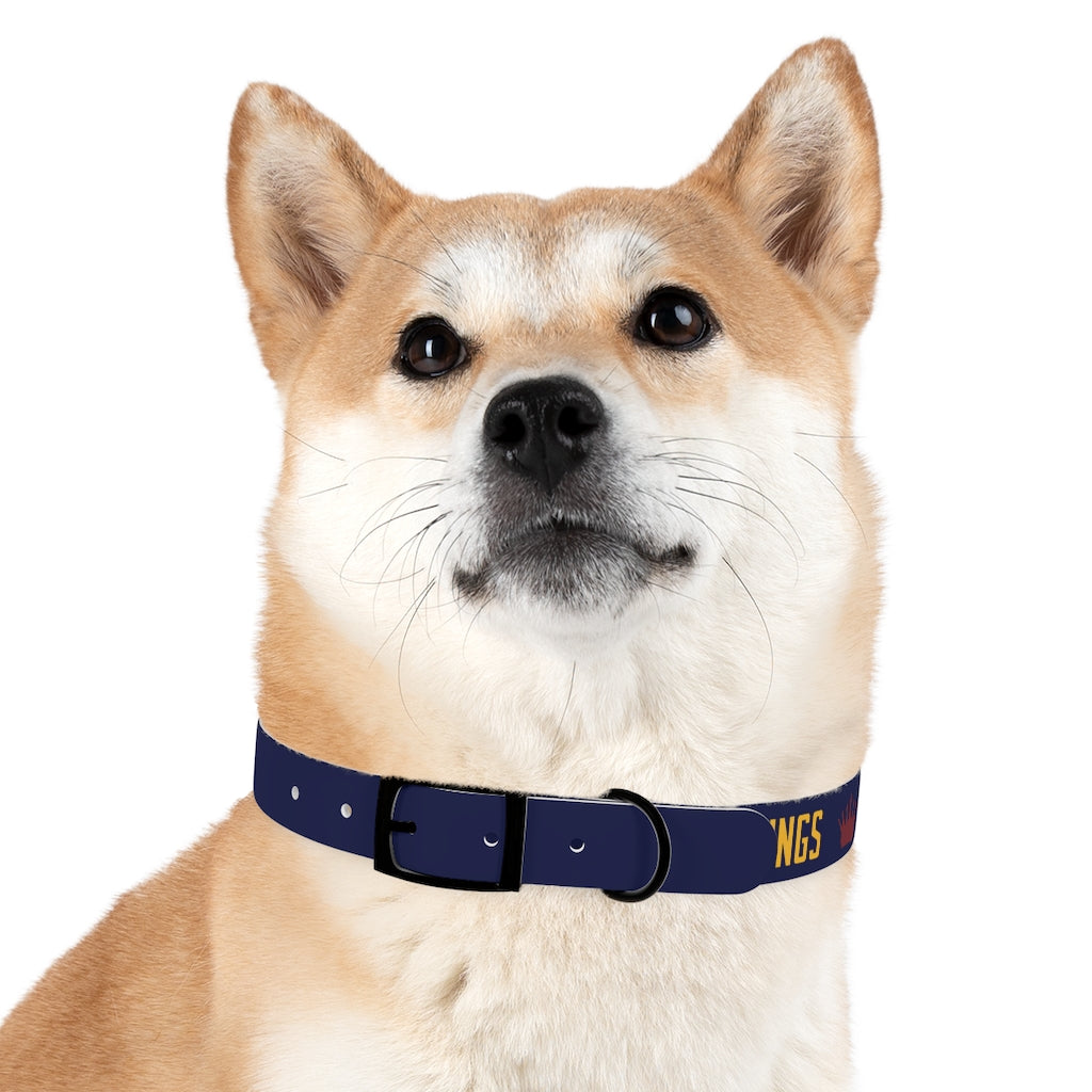 PLYAA 2022 Dog Collar